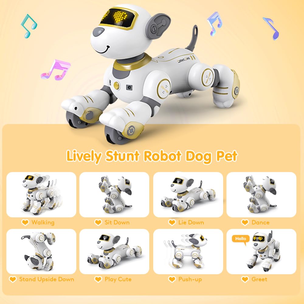 DOG ROBOT VATOS