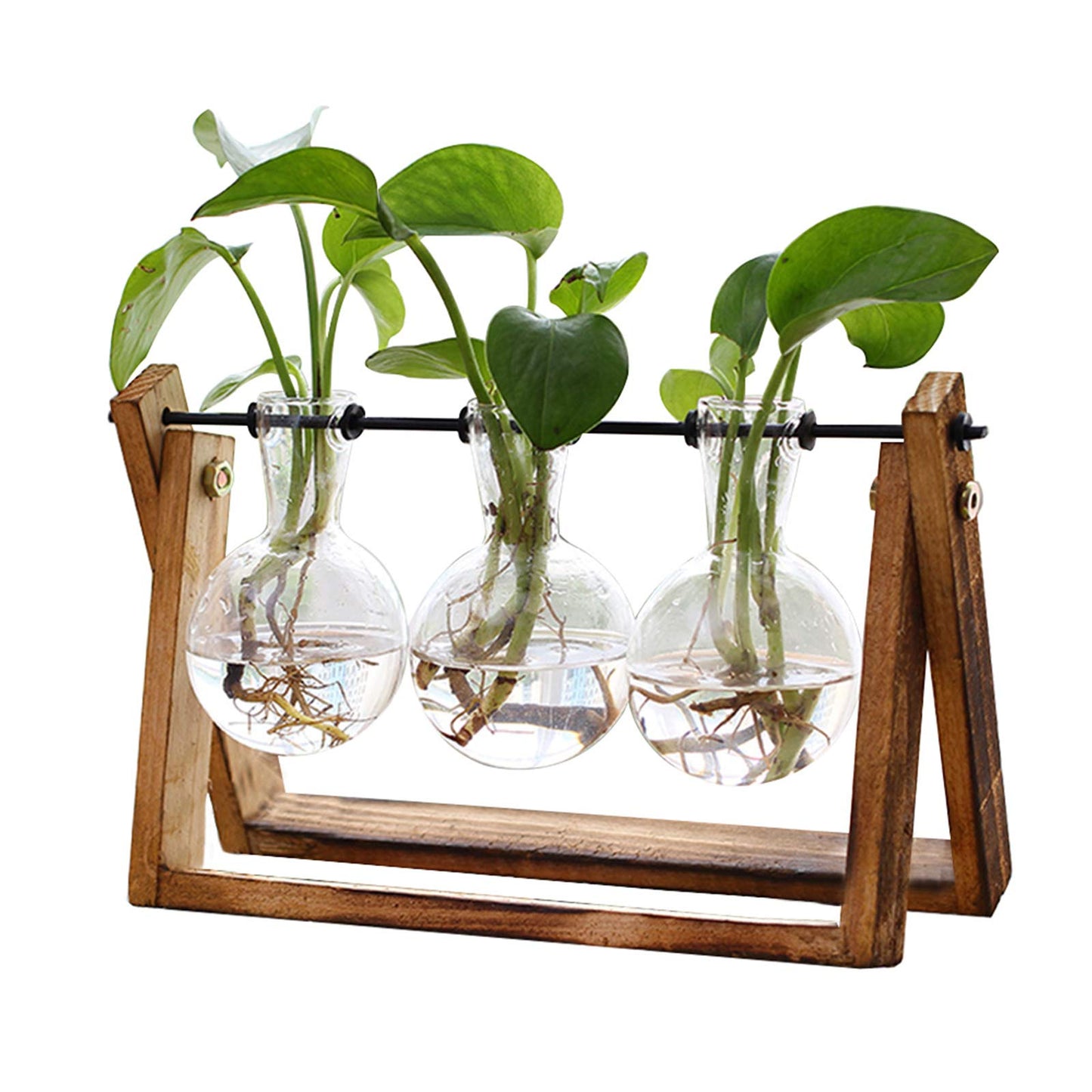 TERRARIO PARA PLANTAS XXXFLOWER con SOPSORTE EN MADERA