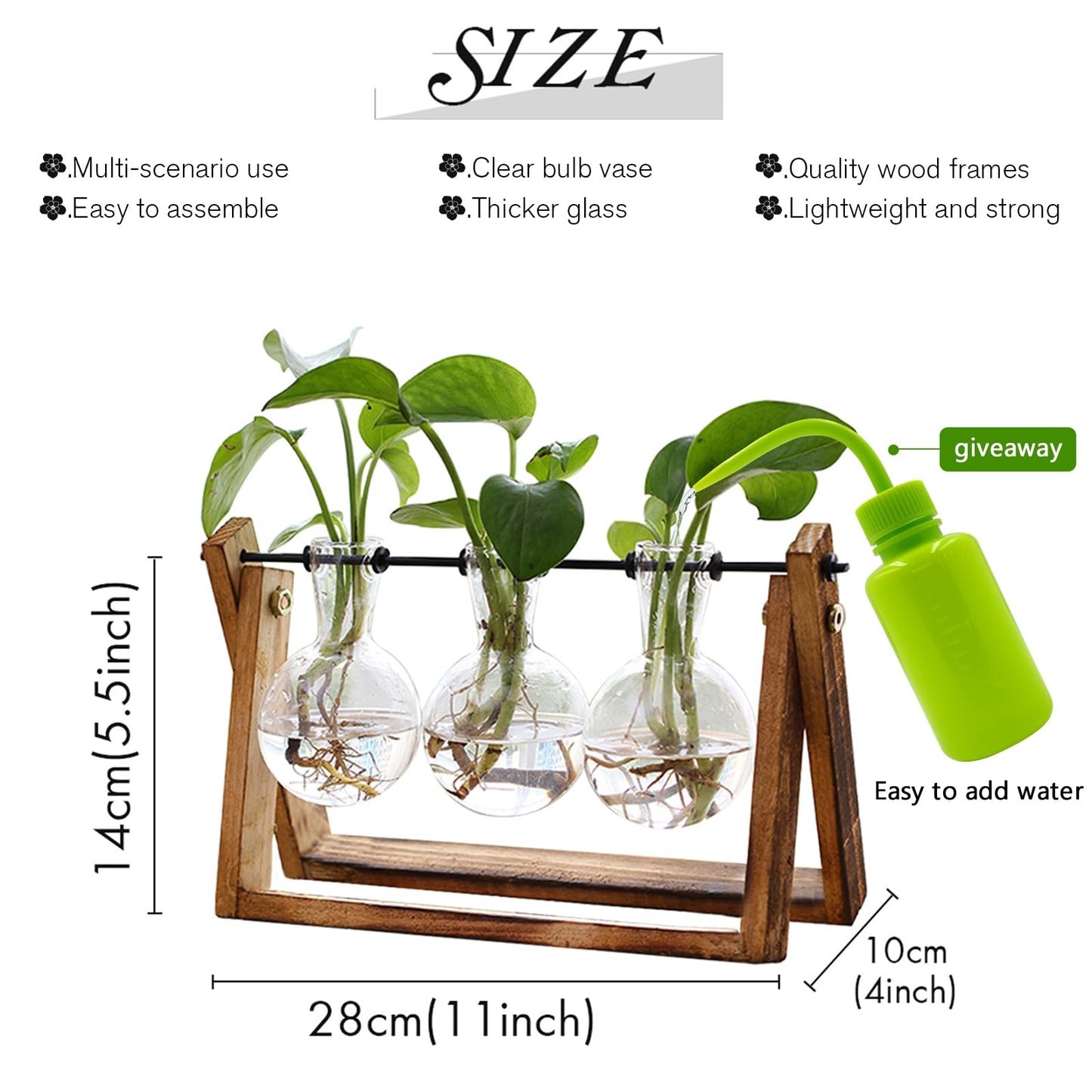 TERRARIO PARA PLANTAS XXXFLOWER con SOPSORTE EN MADERA