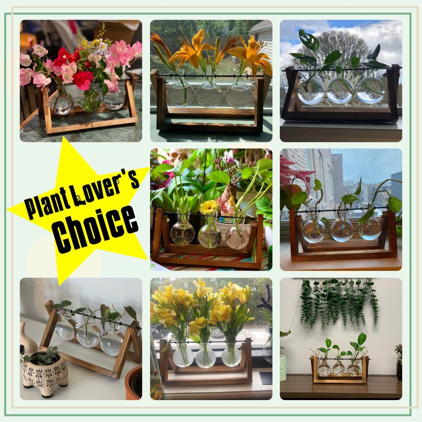 TERRARIO PARA PLANTAS XXXFLOWER con SOPSORTE EN MADERA