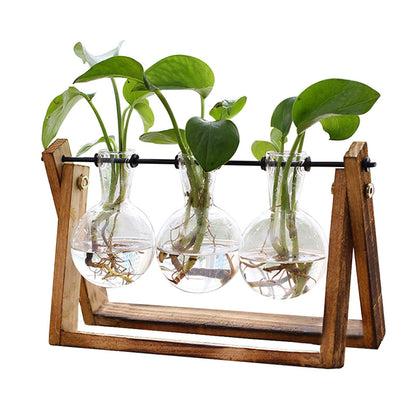 TERRARIO PARA PLANTAS XXXFLOWER con SOPSORTE EN MADERA